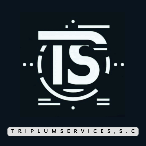 Un logotipo en blanco y negro para una empresa llamada triplum service.