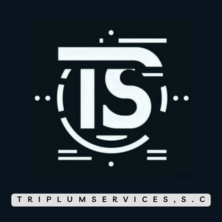 Un logotipo en blanco y negro para una empresa llamada triplum service.
