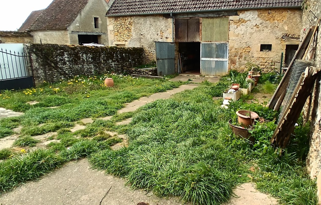 Cour intérieure envahie par la végétation, avec des bâtiments en pierre, un chemin de terre et des plantes en pot le long du mur.