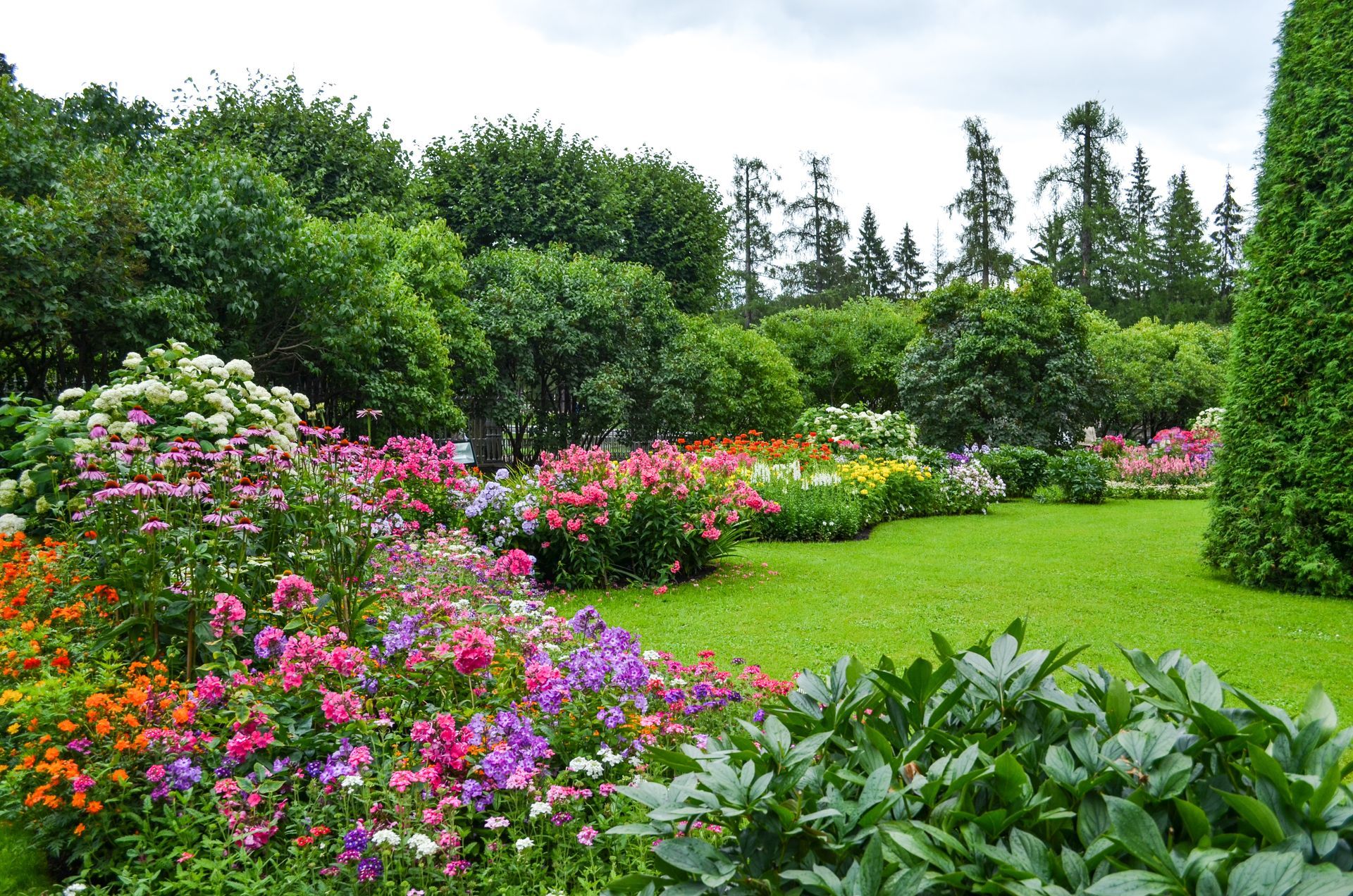 Jardin luxuriant avec des fleurs roses et violettes, des arbustes verts et des arbres en arrière-plan