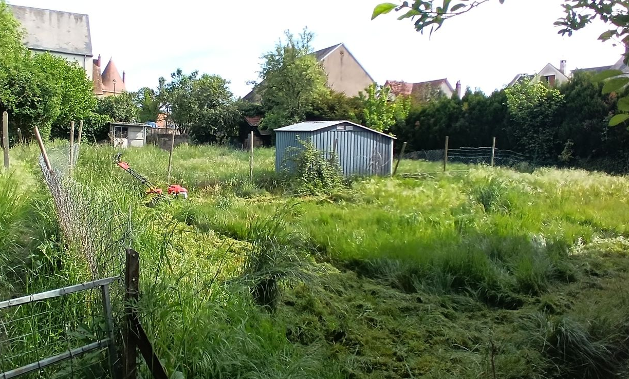 Jardin arrière envahi par la végétation, avec de hautes herbes, un petit abri métallique et des maisons en arrière-plan.