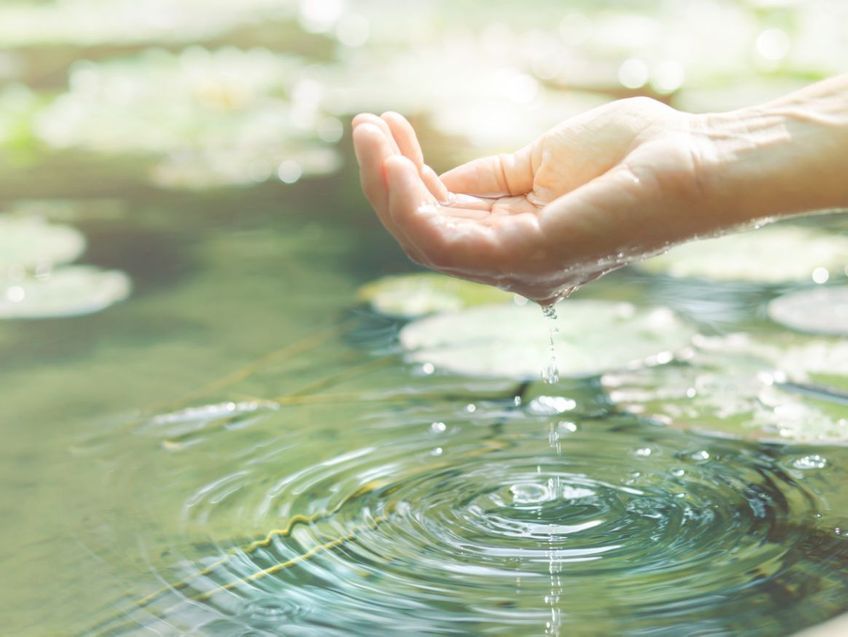 TCM - Jumbo's Naturheilpraxis - St. Gallen