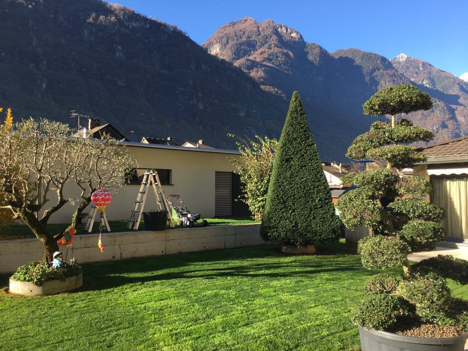 Mattia Biava - Paesaggista