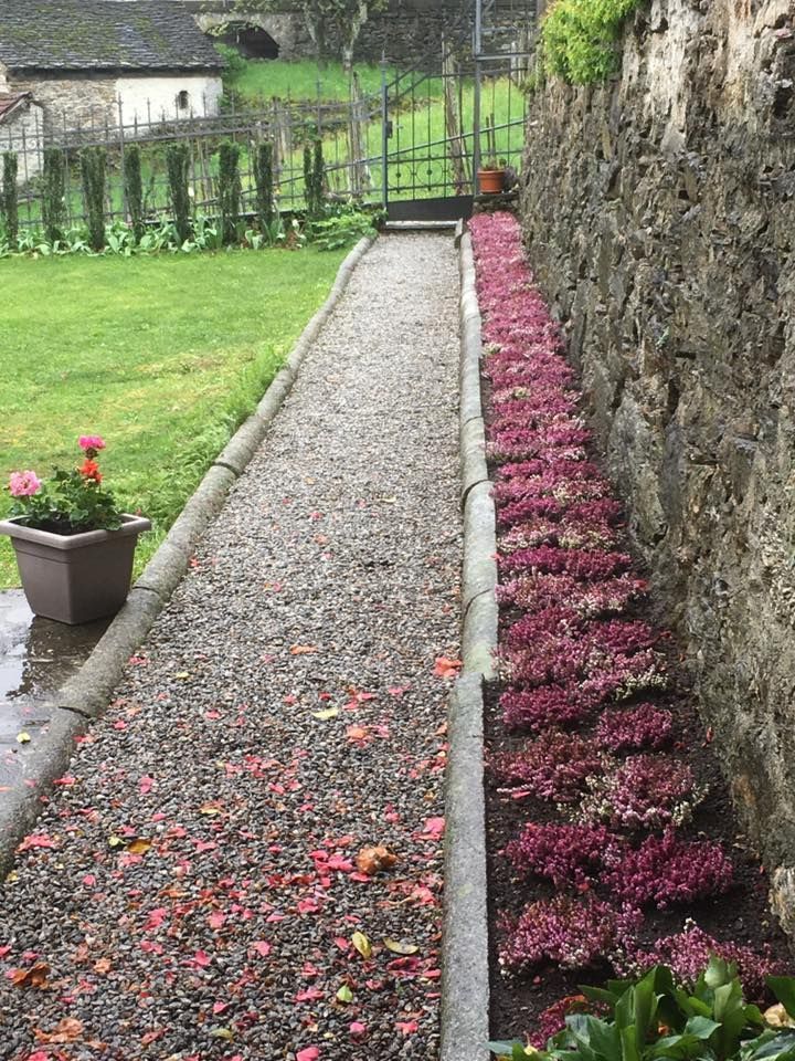 Mattia Biava Giardiniere - Aiuole con fiori rosa