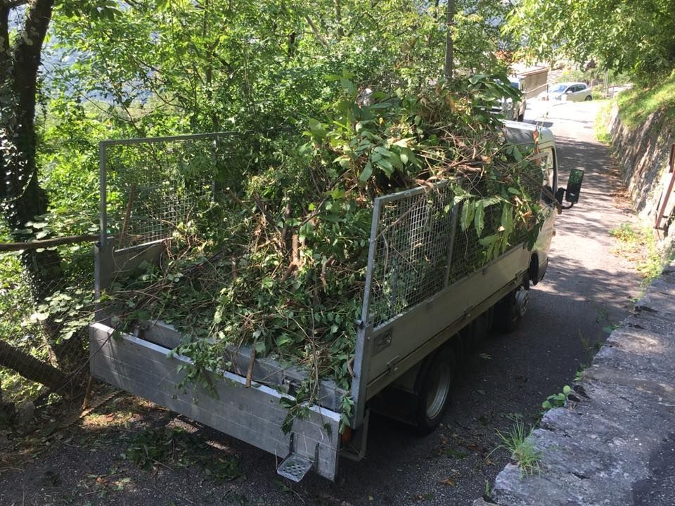 Mattia Biava Giardiniere - Alberi su camion