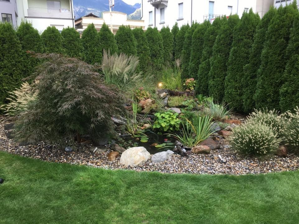 Mattia Biava Giardiniere - Creazione biotopo