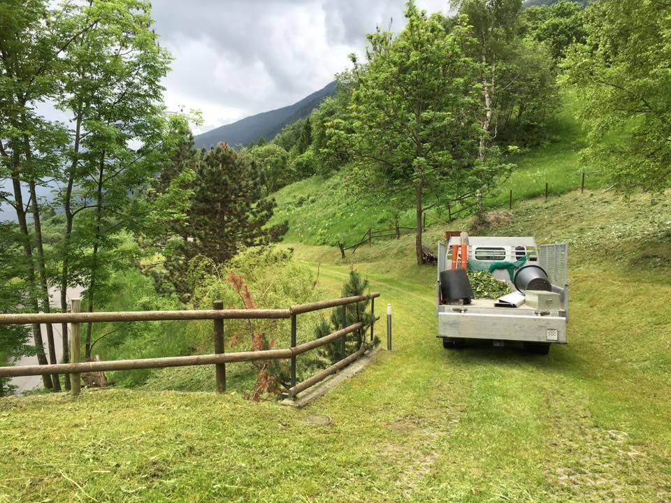 Mattia Biava Giardiniere - Furgone su prato