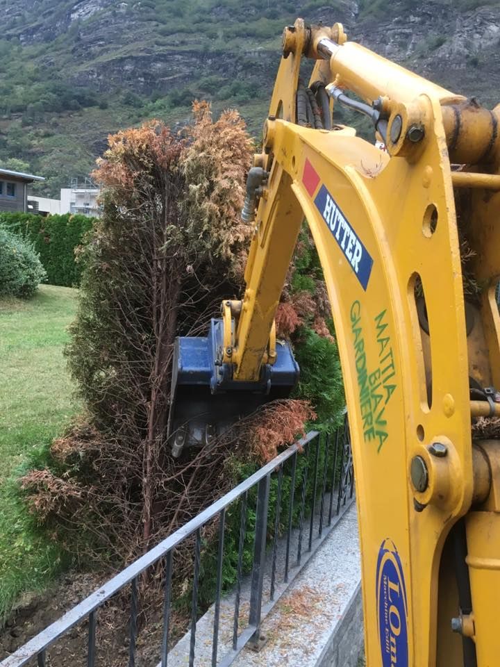 Mattia Biava Giardiniere - Gru estirpa alberi