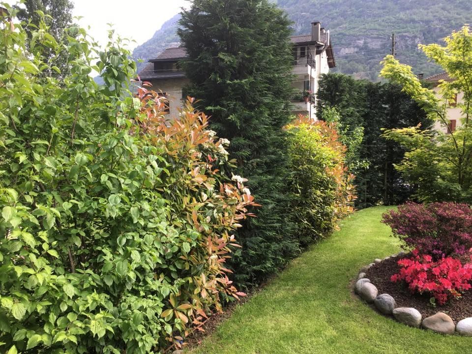 Mattia Biava Giardiniere - Manutenzione aiuole