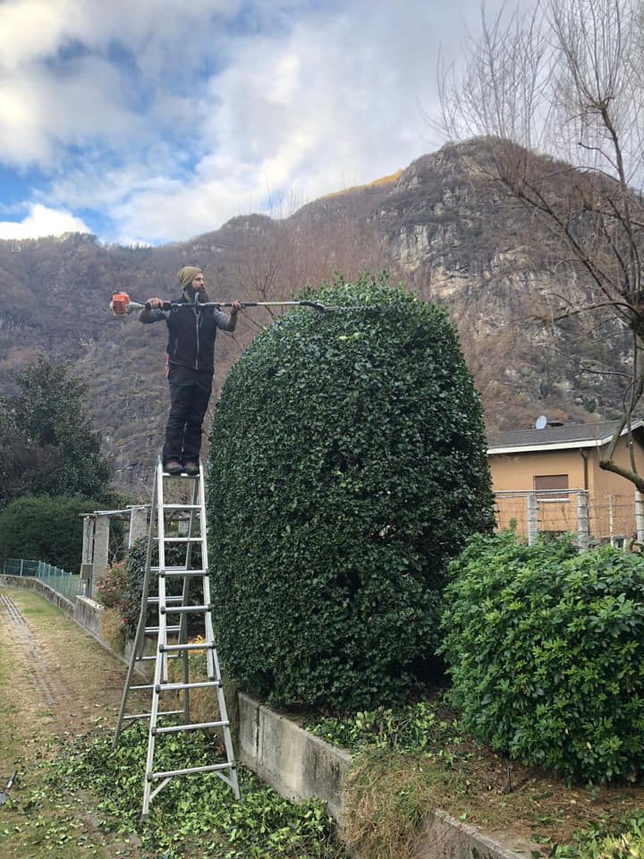Mattia Biava Giardiniere - Manutenzione piante e giardini