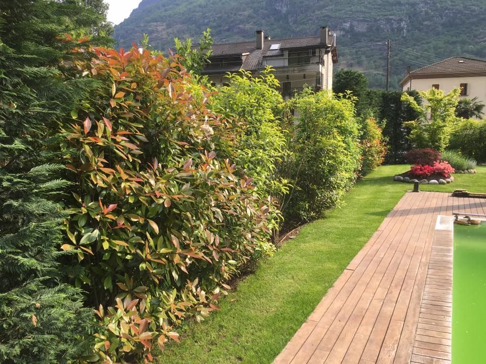 Mattia Biava Giardiniere - Manutenzione spazi verdi