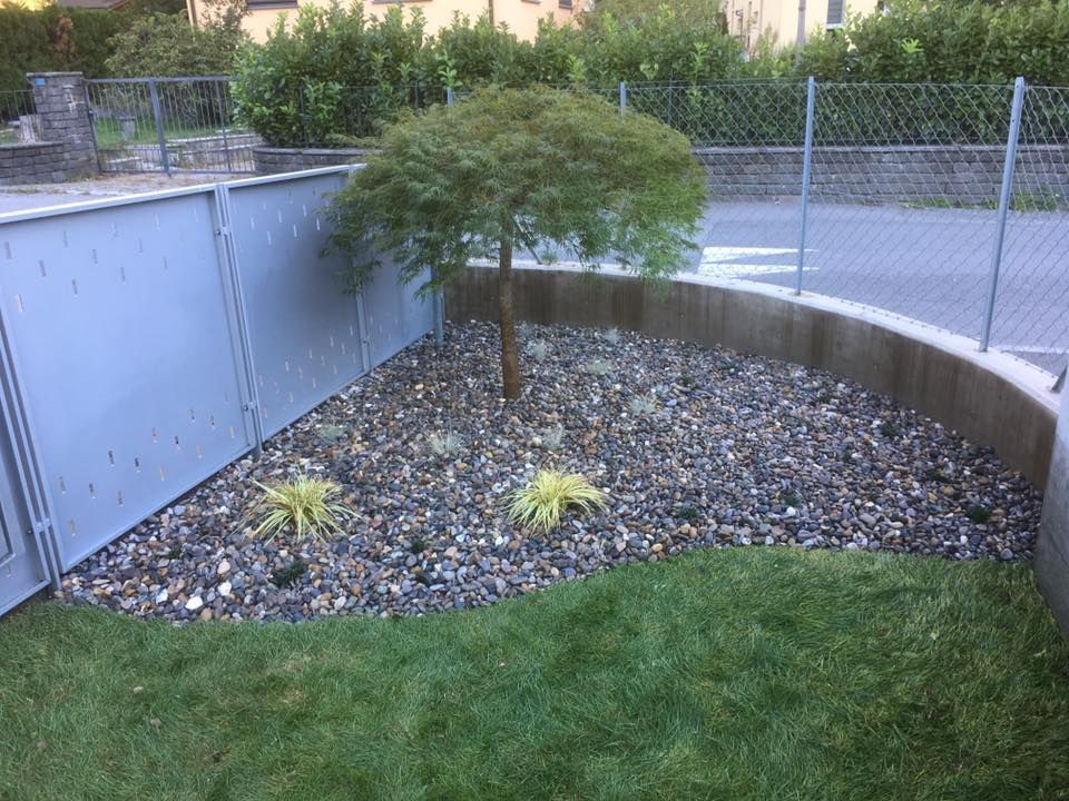 Mattia Biava Giardiniere - Nuova siepe e aiuola