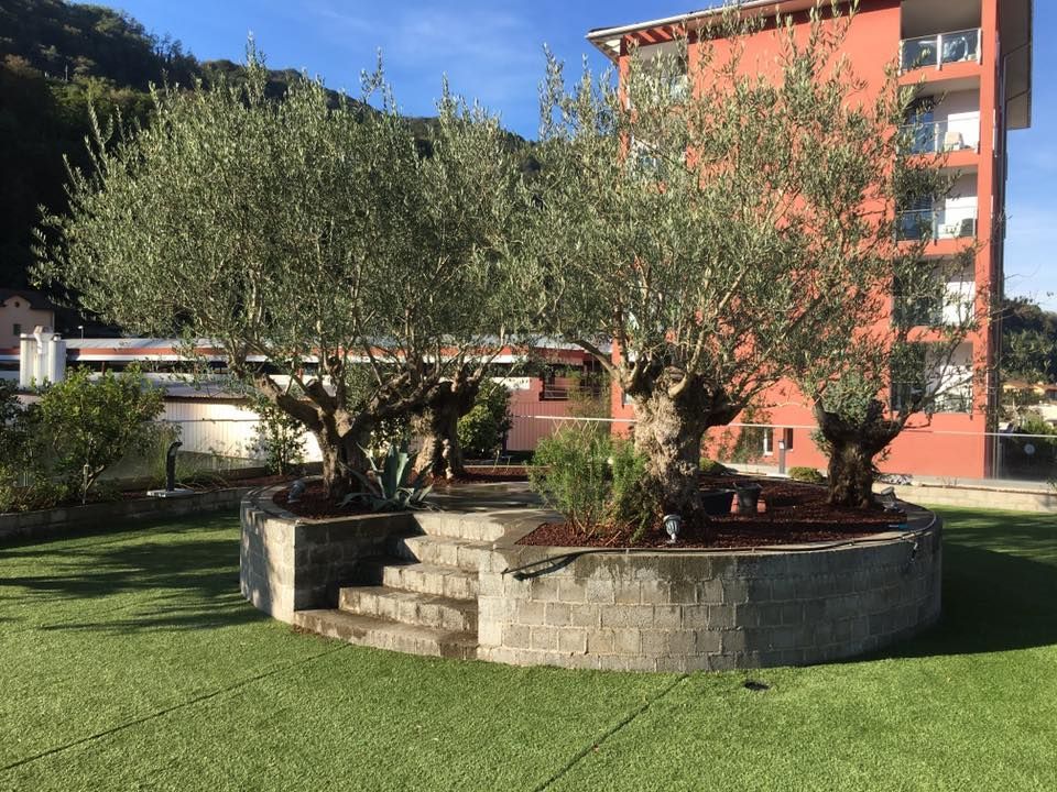 Mattia Biava Giardiniere - Piantagioni e aiuola