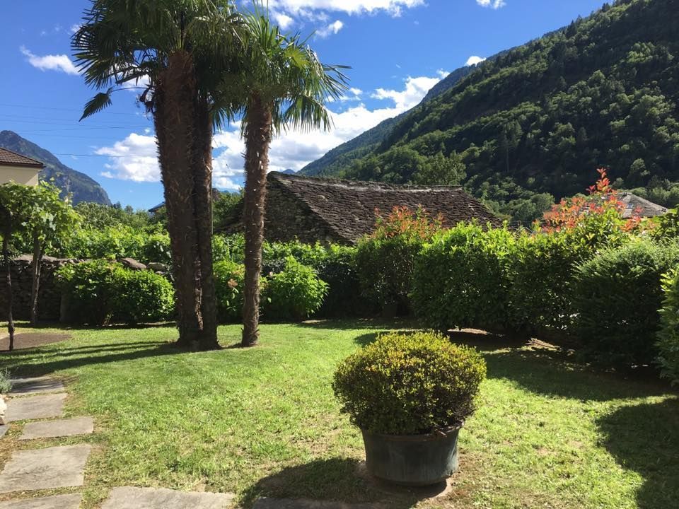 Mattia Biava Giardiniere - Pulizia aiuole e taglio erba