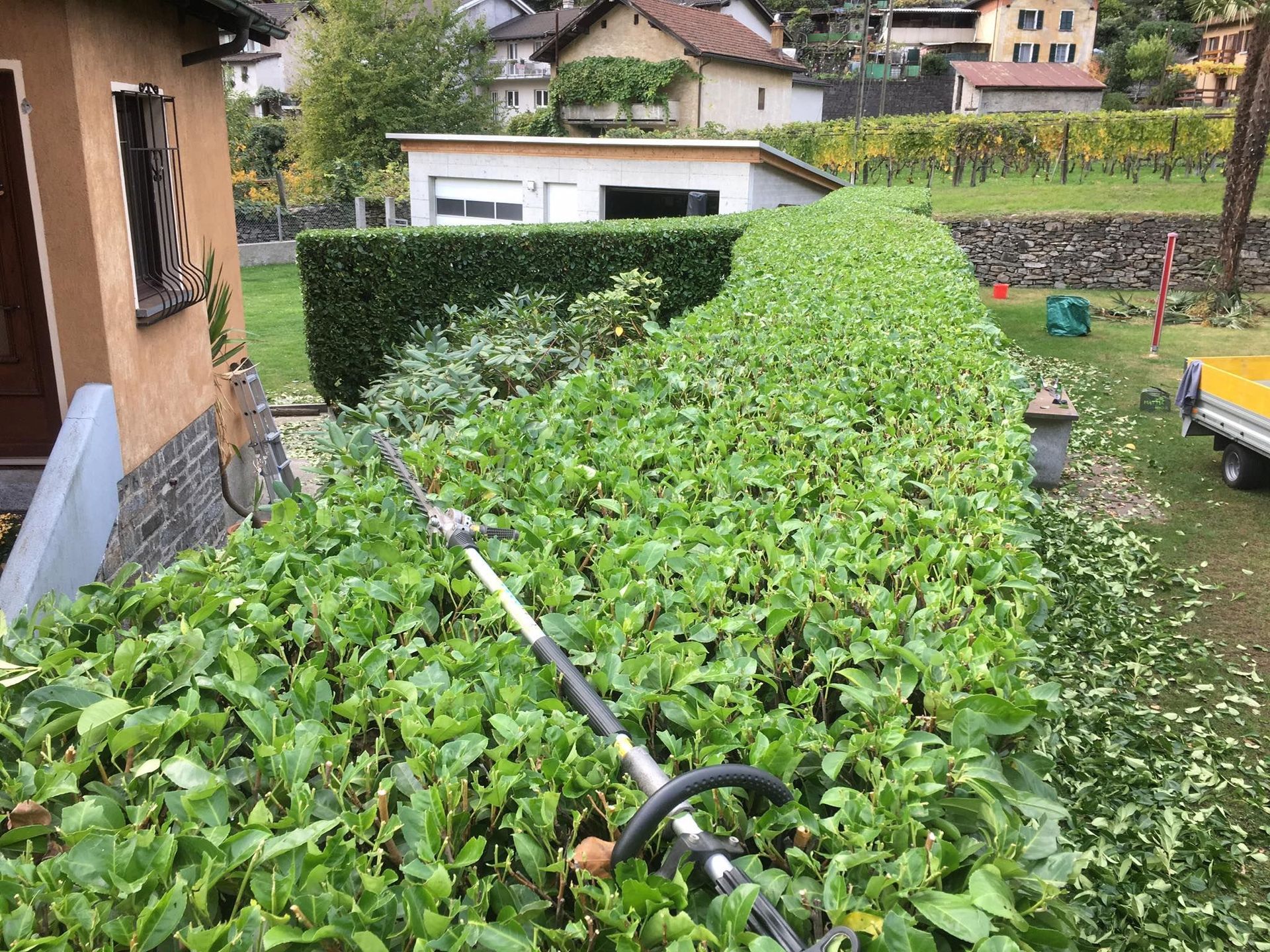 Mattia Biava Giardiniere - Pulizia cespuglio