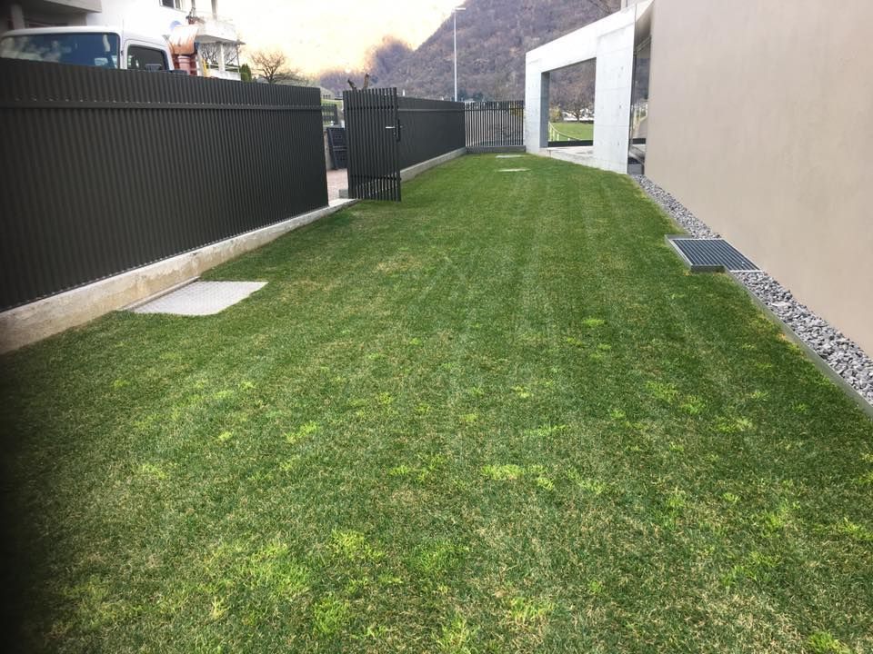 Mattia Biava Giardiniere - Pulizia prato inglese