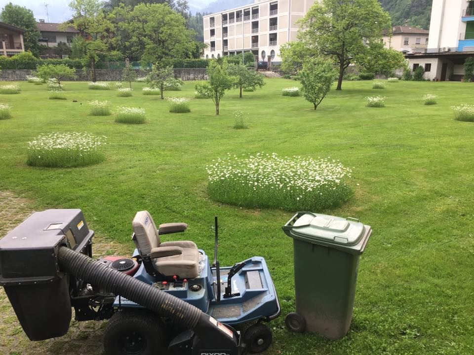 Mattia Biava Giardiniere - Pulizia spazi verdi