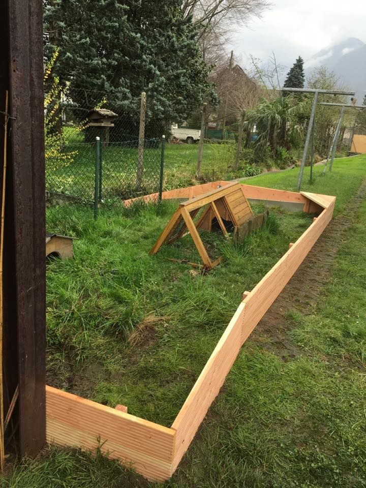 Mattia Biava Giardiniere - Recinto tartarughe