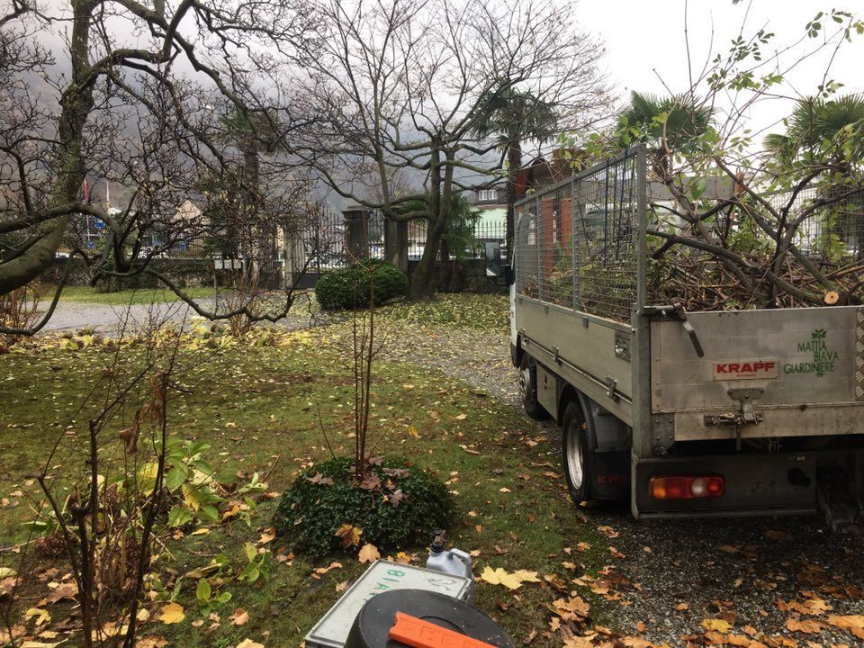 Mattia Biava Giardiniere - Rimozione arbusti