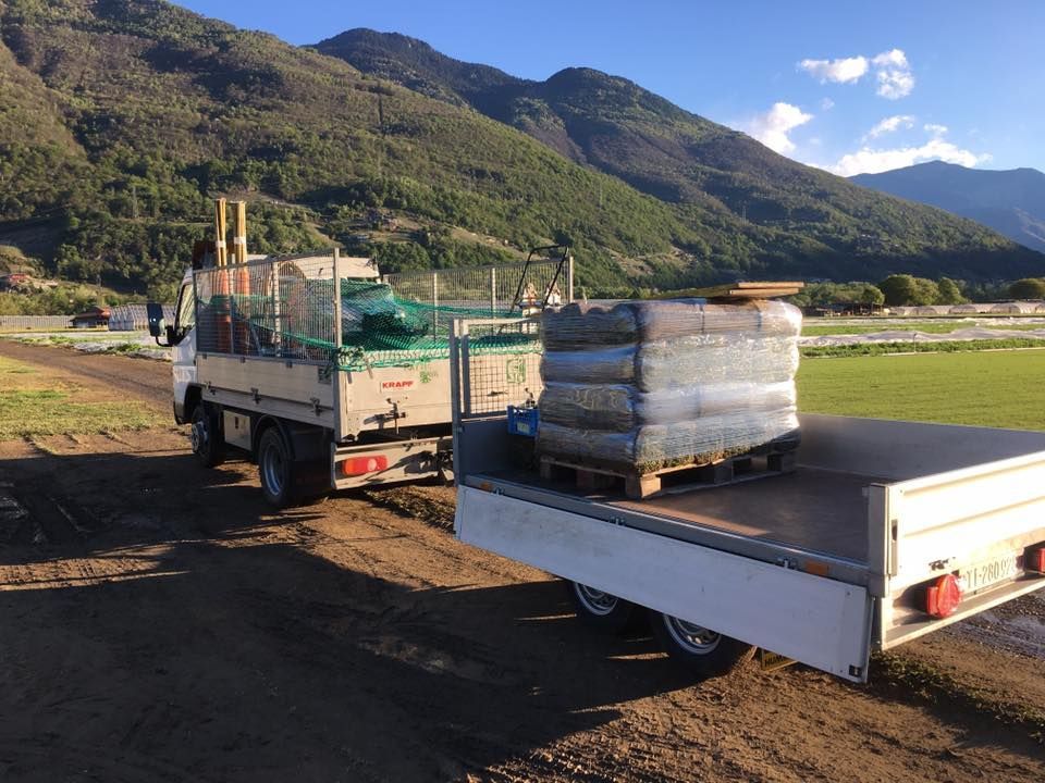 Mattia Biava Giardiniere - Sistemazione zona verde esterna