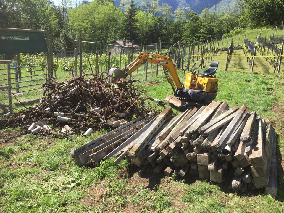 Mattia Biava Giardiniere - Smantellare vigneto