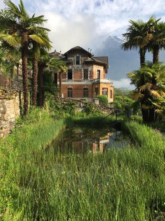 Mattia Biava Giardiniere - Spazi verdi