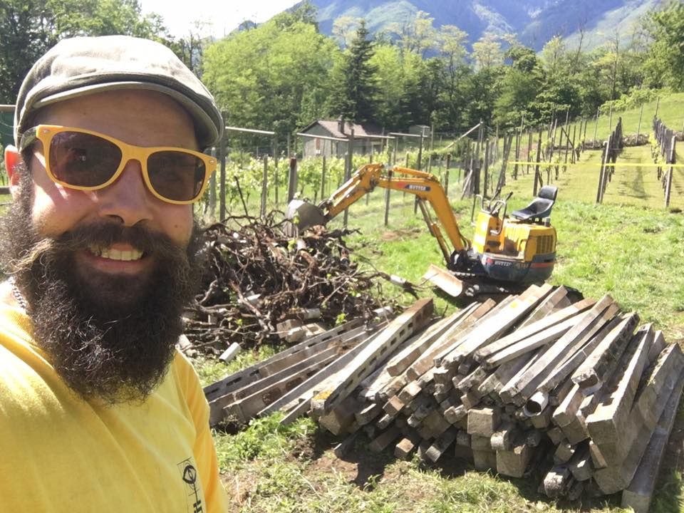 Mattia Biava Giardiniere - Vigneto