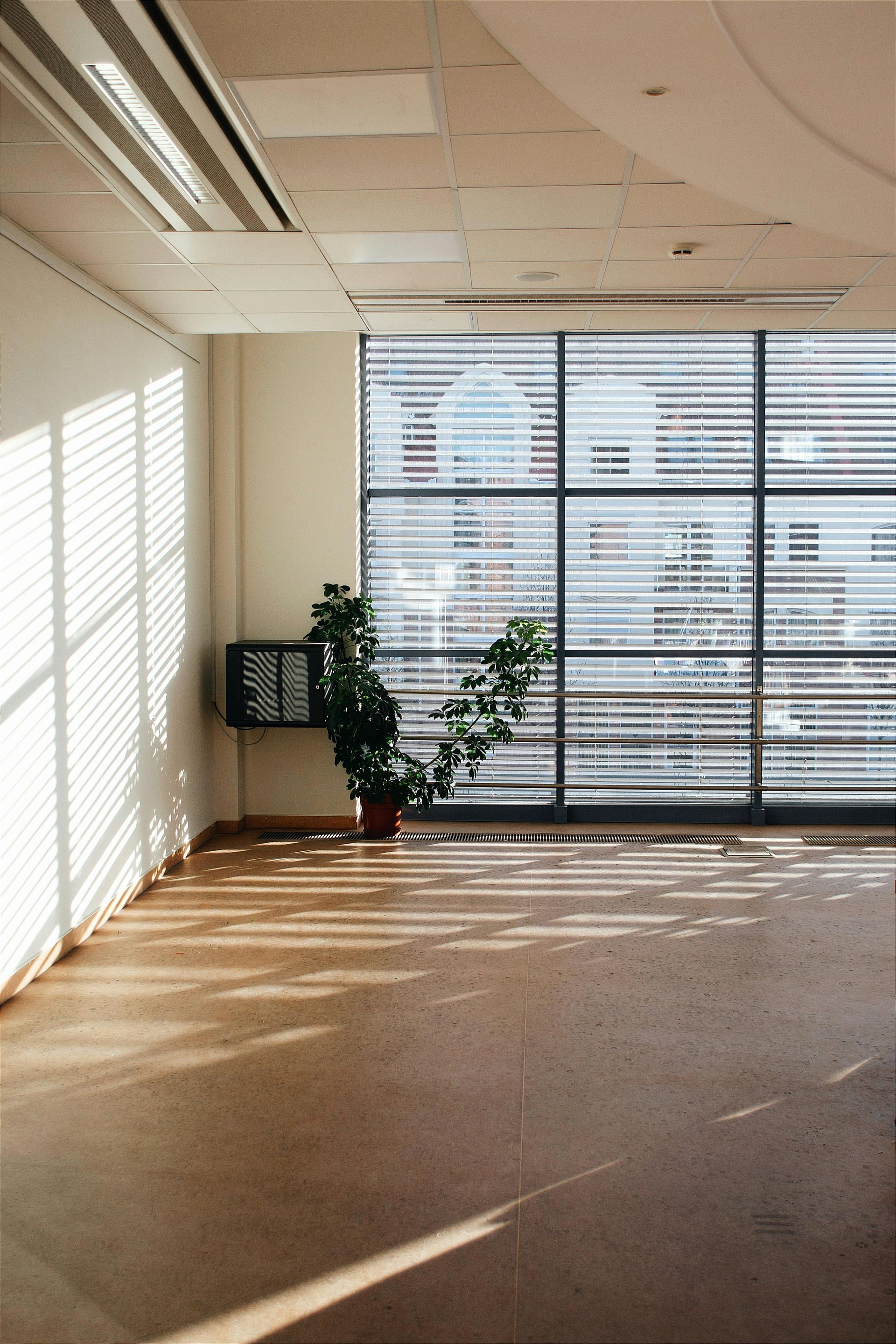 Una habitación vacía con una planta y una ventana grande.