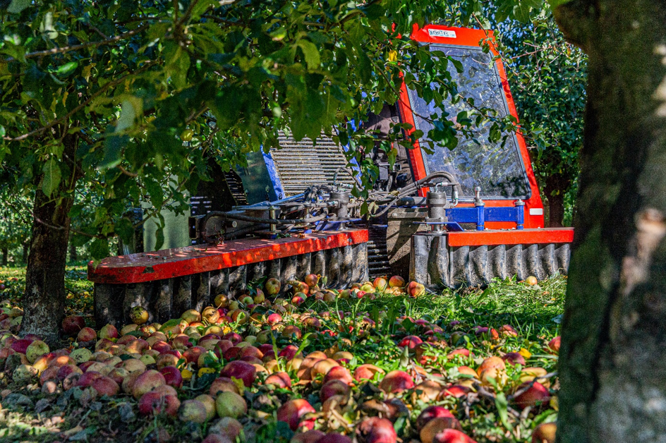 LemmTec GmbH – Erntemaschine für Äpfel