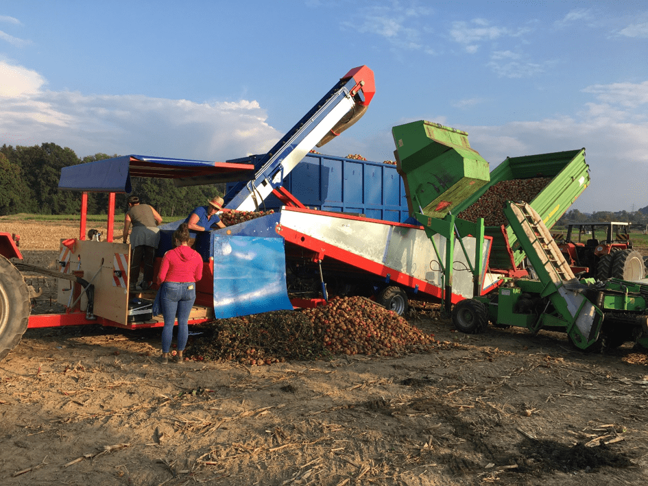 LemmTec GmbH – Erntesortiermaschine im Einsatz auf dem Acker