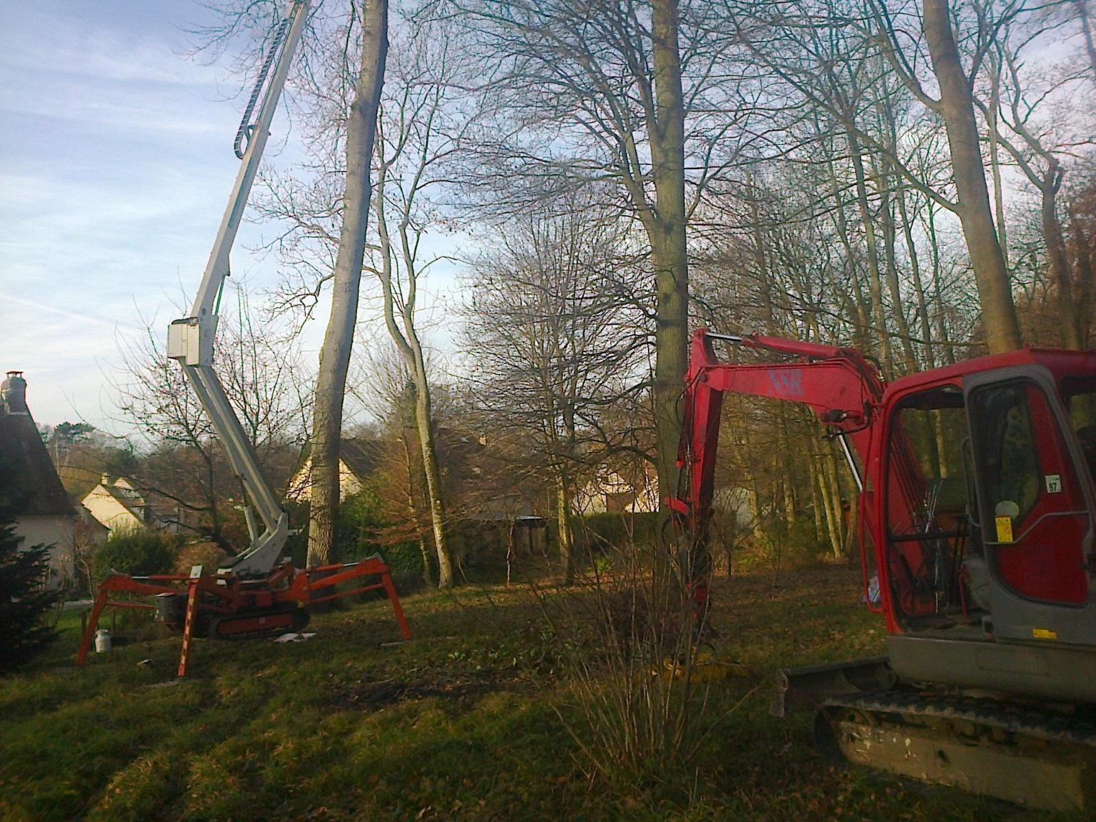 Travaux d'élagage en hauteur