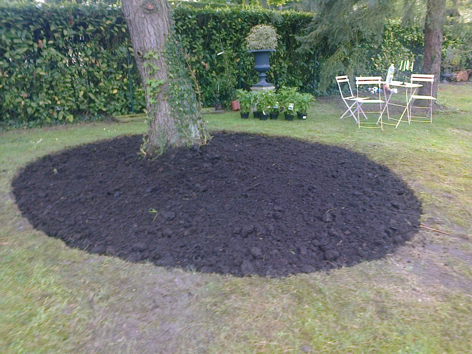 Création d'espace de décoration jardin