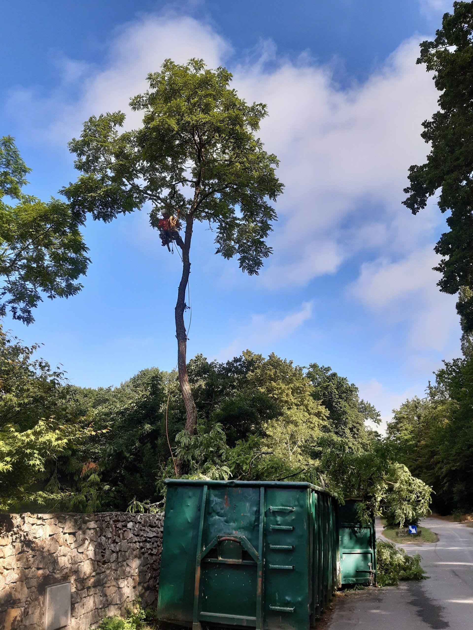 élagage dans l'Oise