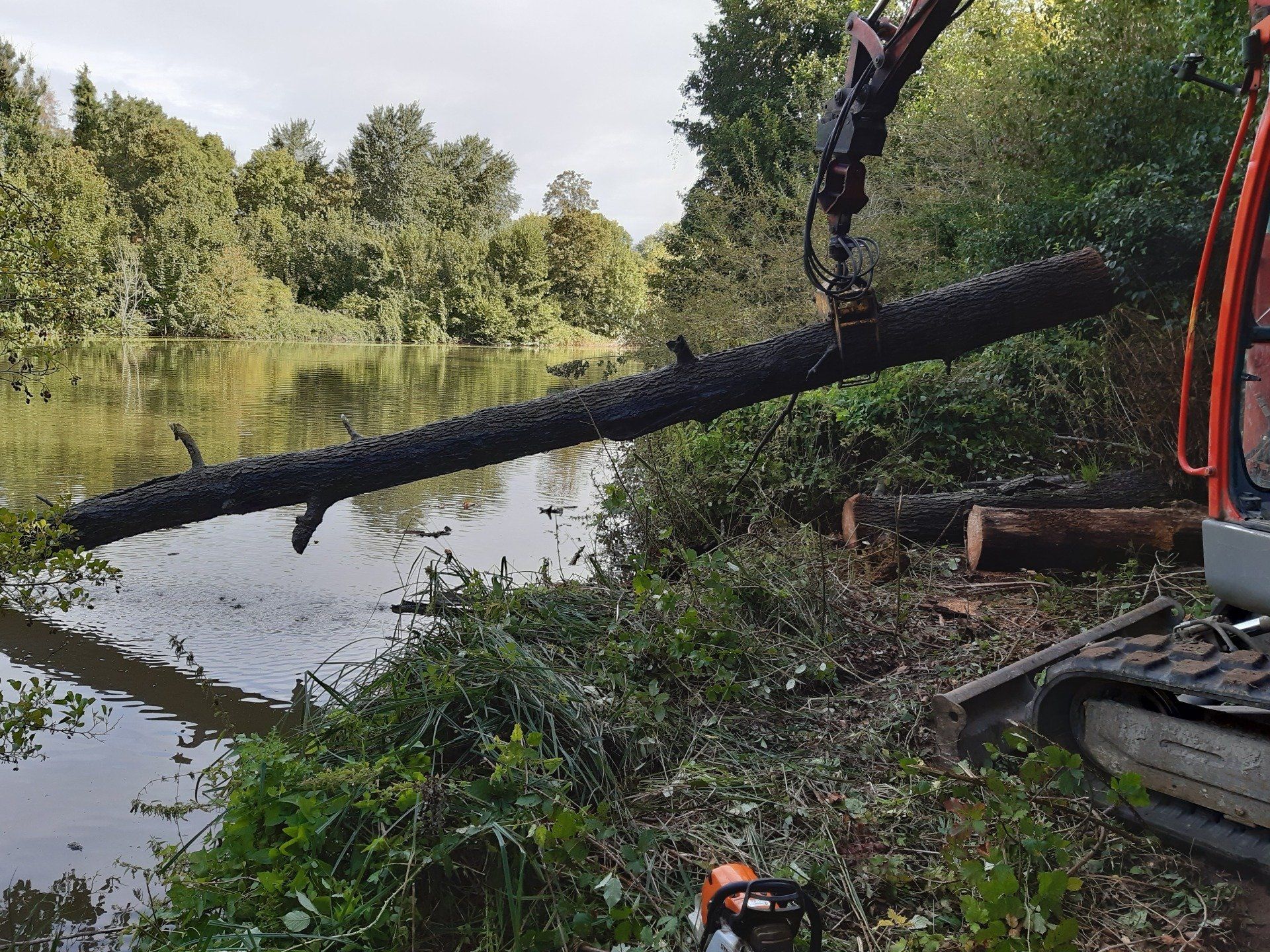 Abattage pour nettoyage de rivière