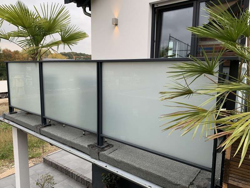 Ein Balkon mit Glasgeländer und einer Palme davor.