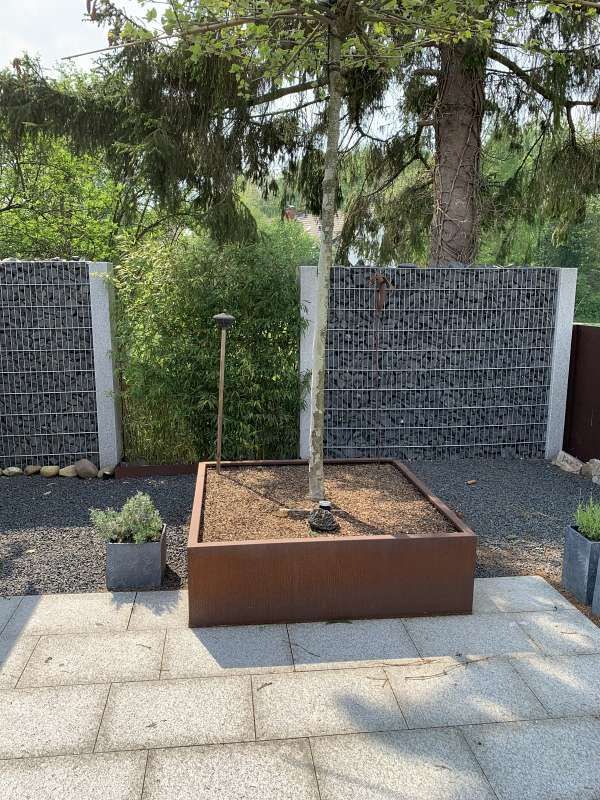 Ein Blumentopf mit einem Baum darin steht auf einer Terrasse neben einer Steinmauer.