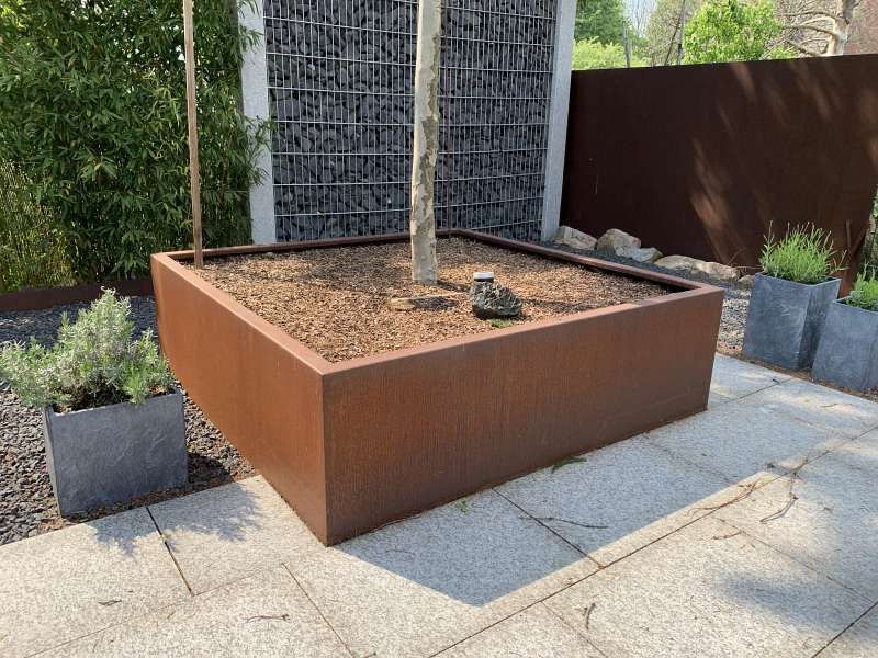 Ein Baum in einem Pflanzgefäß auf einer Terrasse neben einem Zaun.