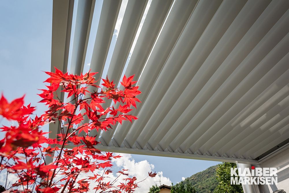 Ein Baum mit roten Blättern steht unter einer Pergola.