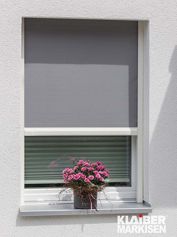 Eine Topfpflanze steht auf einem Fensterbrett neben einem Fenster mit Jalousien.