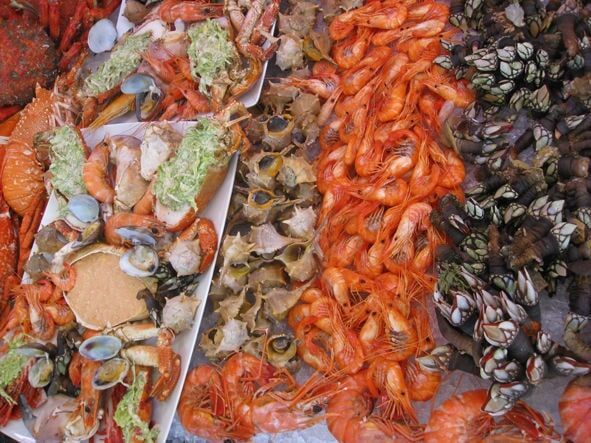 Exposição de frutos do mar: camarões cozidos, amêijoas, caranguejos e outros mariscos dispostos sobre gelo.