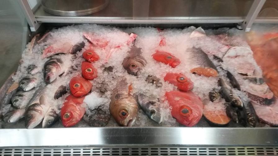 Exposição de frutos do mar frescos sobre gelo, incluindo peixes inteiros e filés, em vitrine refrigerada.