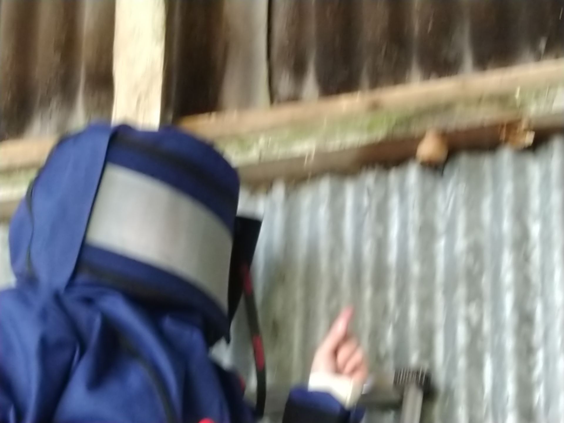 Personne en combinaison de protection bleue près d'un mur en tôle ondulée.