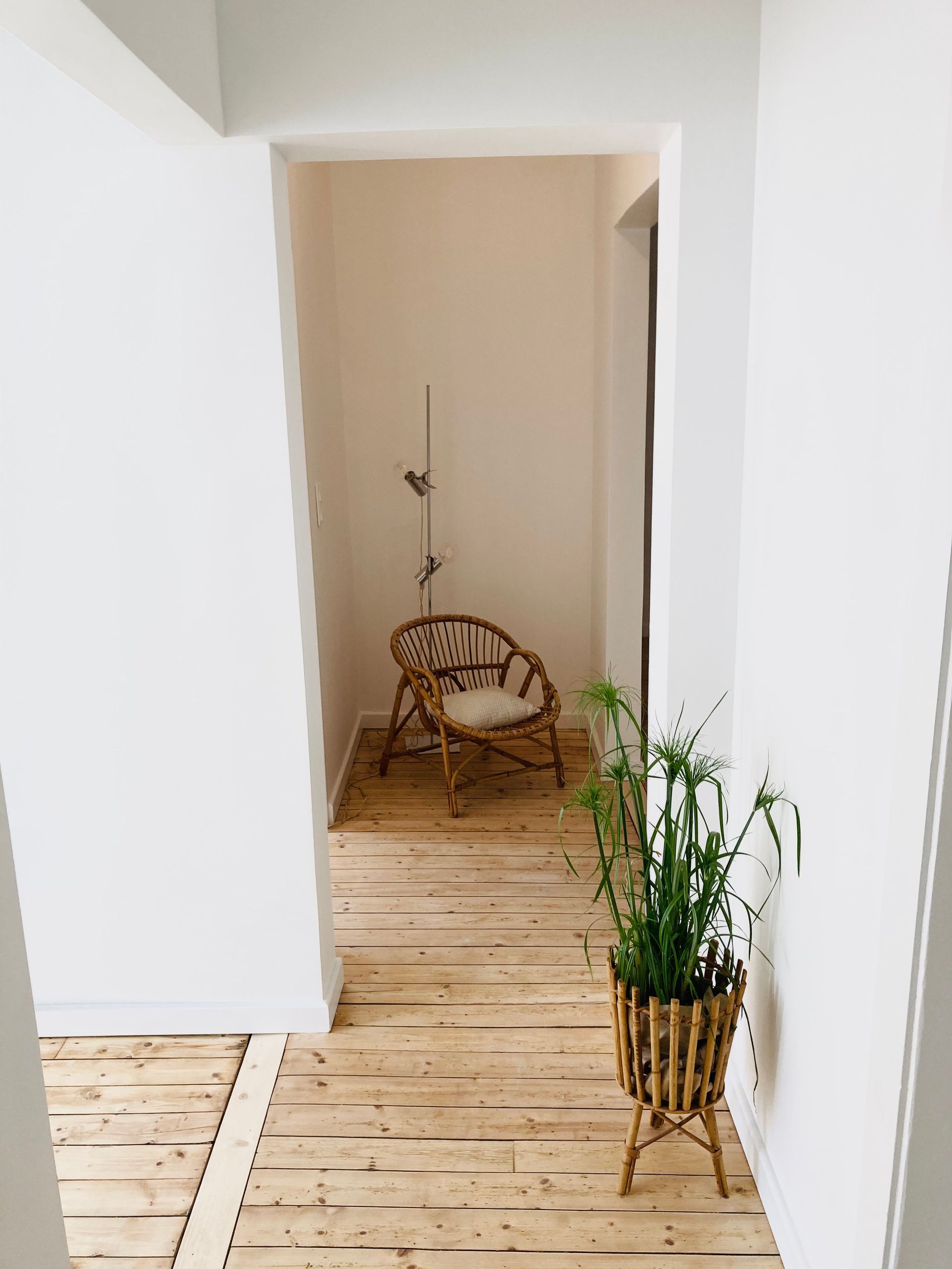 Couloir avec parquet clair, fauteuil en osier et plante en pot.