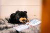 A black teddy bear is laying on a blanket reading a book.