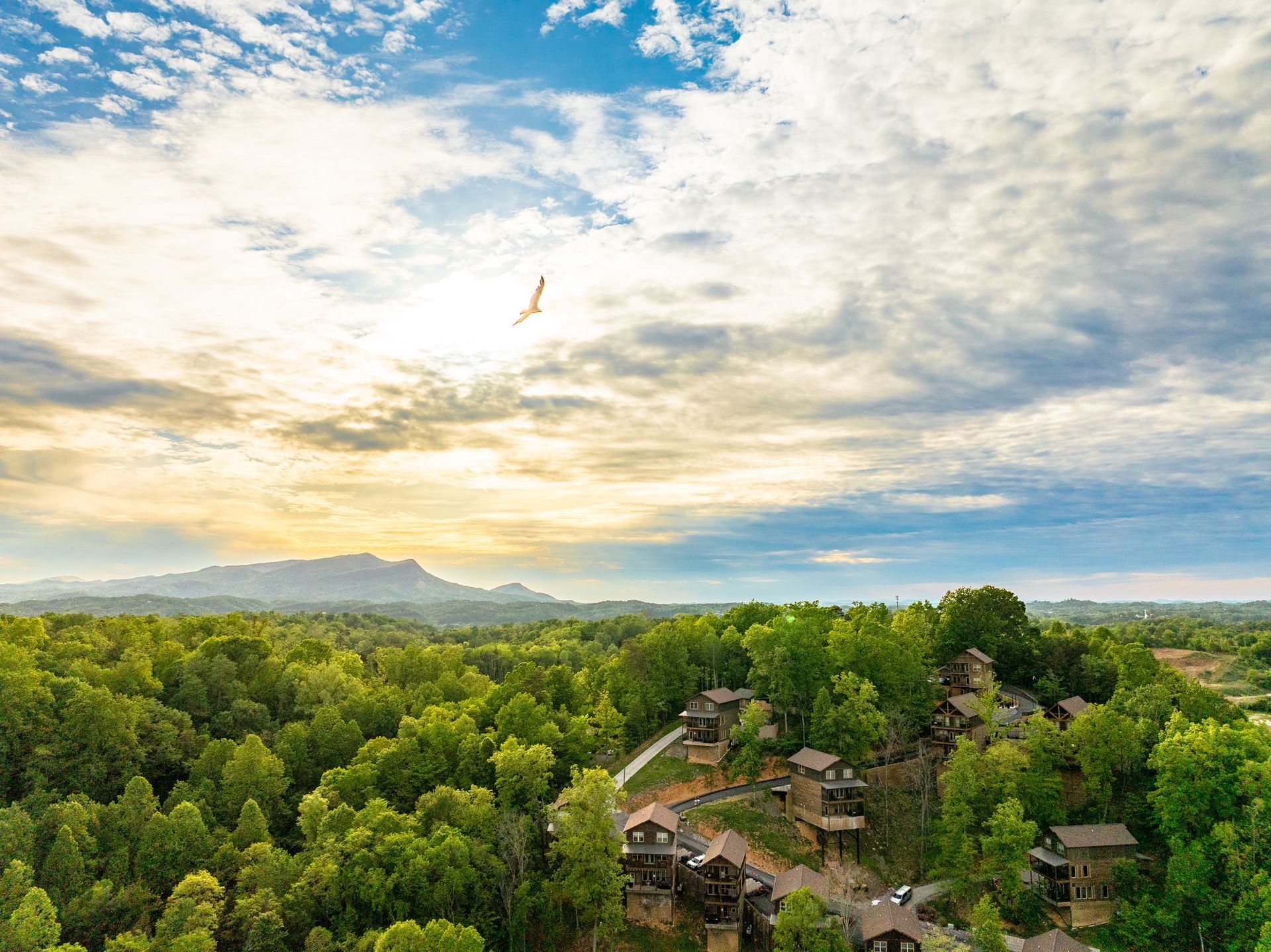 An aerial view of a residential area surrounded by trees and houses.