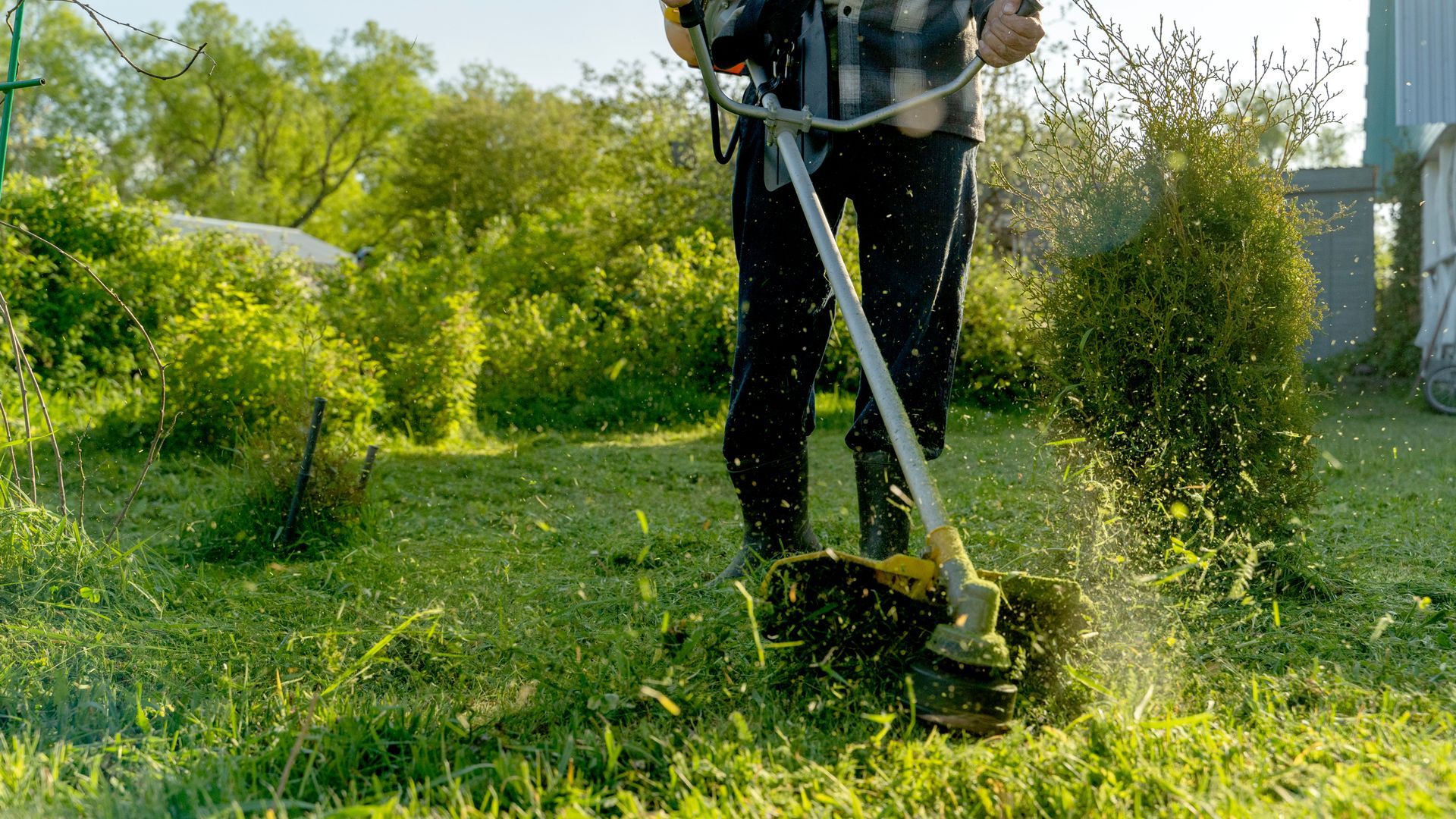 Une personne utilise un coupe-bordures pour tondre la pelouse dans un jardin ensoleillé, les brins d'herbe coupés volant autour d'elle.