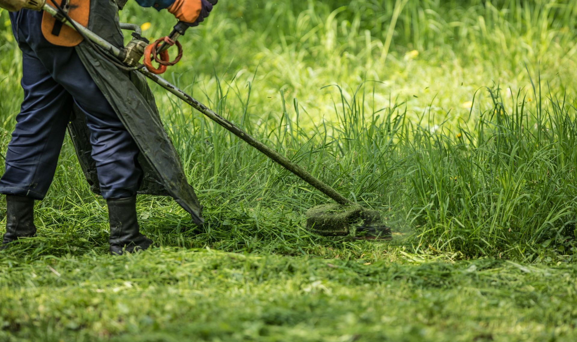 Une personne utilise un coupe-bordures pour couper les hautes herbes dans un champ vert.