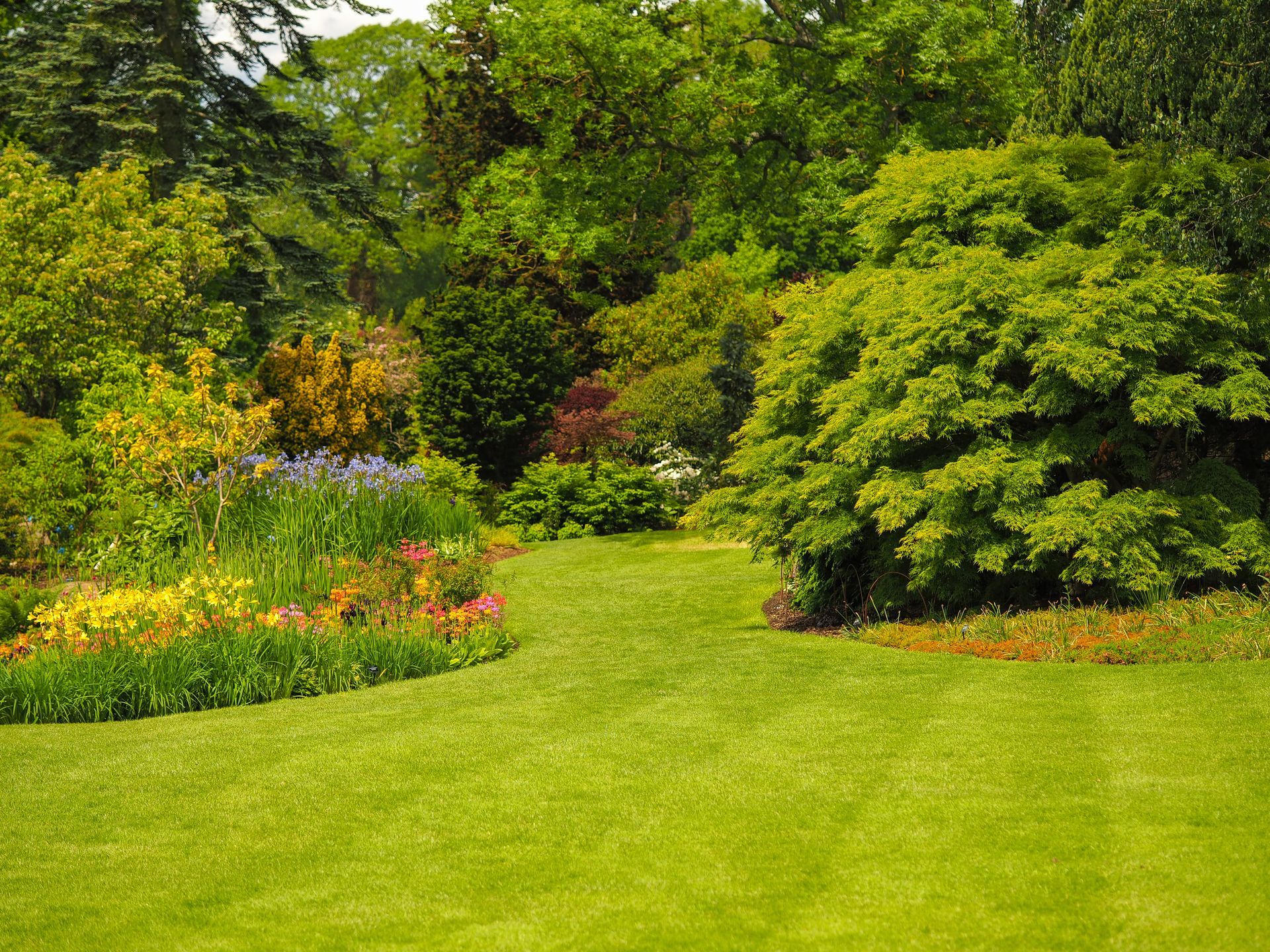 Jardin verdoyant luxuriant avec des parterres de fleurs colorés, des arbustes et des arbres baignés de lumière naturelle.