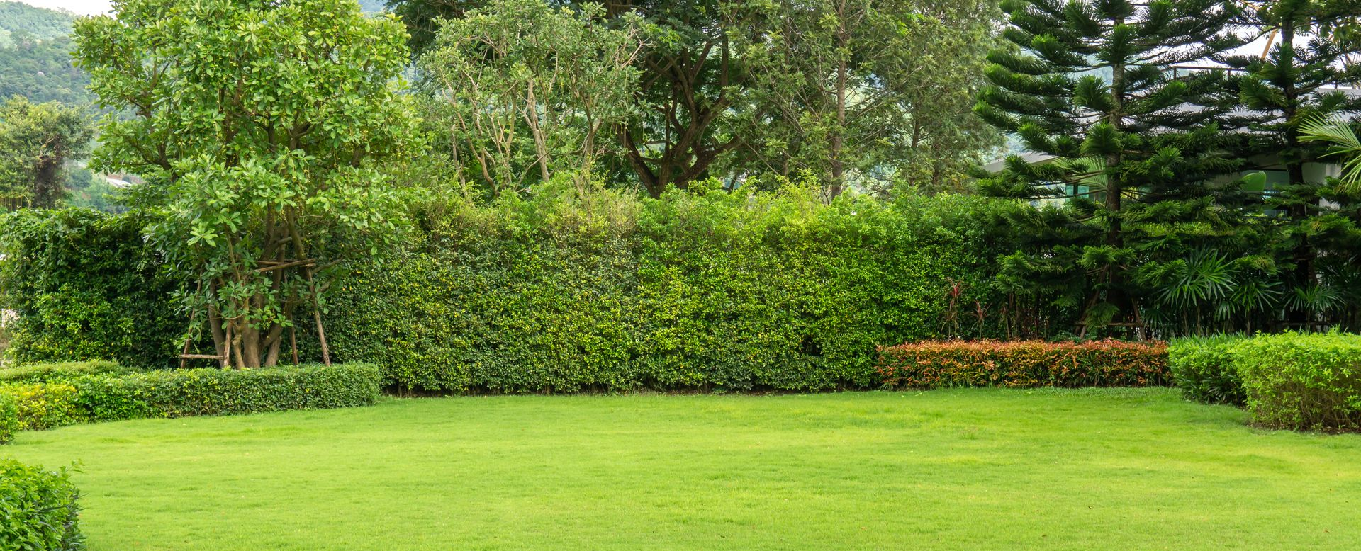 Jardin verdoyant luxuriant avec une pelouse bien entretenue, des haies et de grands arbres en arrière-plan