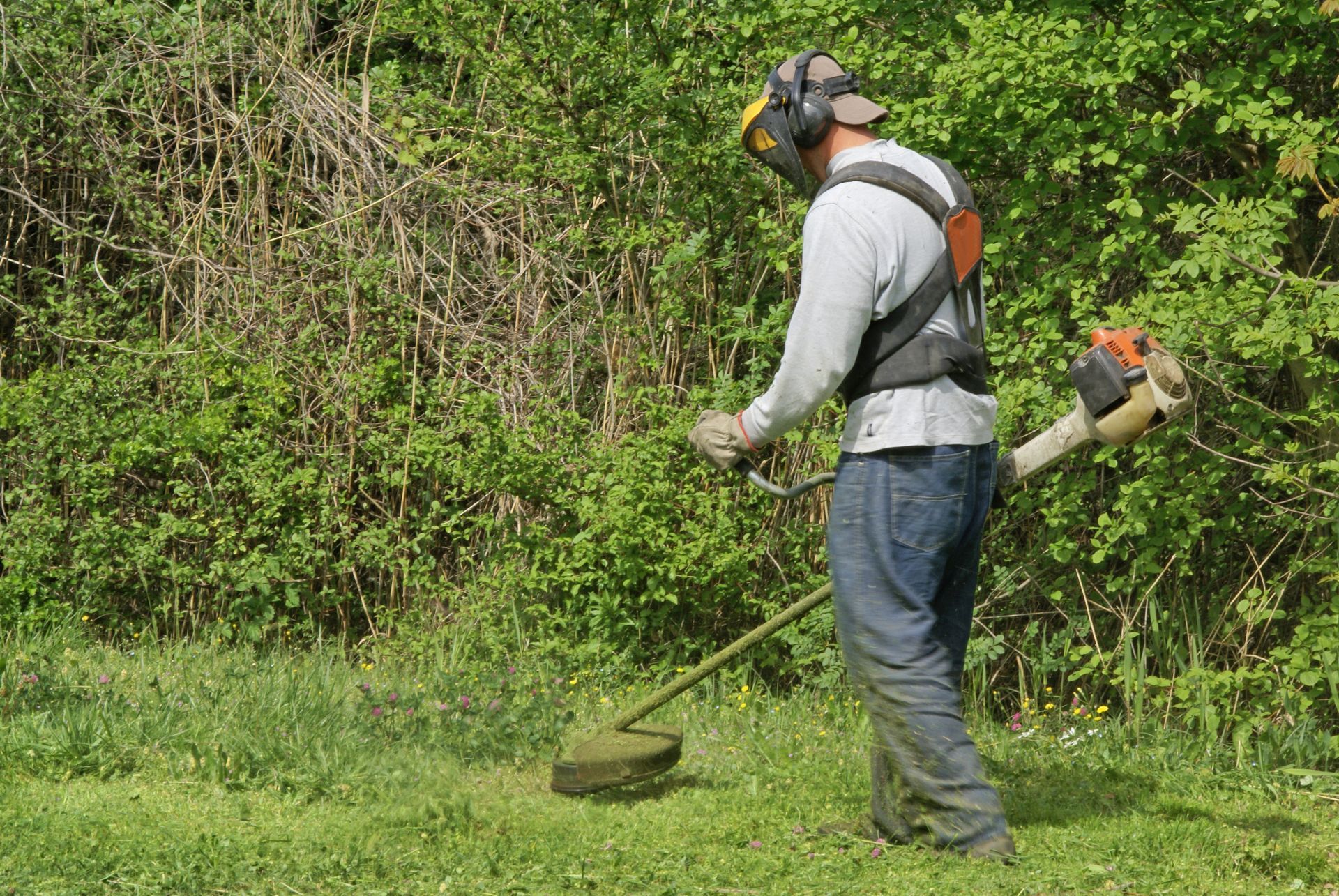 Une personne utilise un coupe-bordures sur de l'herbe haute près de buissons verts denses.
